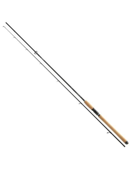 Spiningas Daiwa R'Nessa Spin 270cm 30-70g