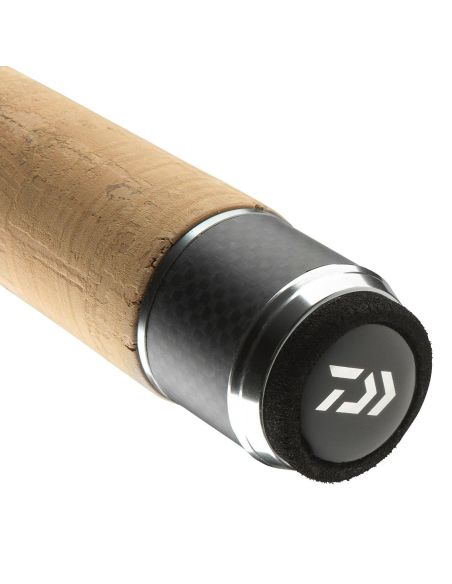 Spiningas Daiwa R'Nessa Spin 270cm 30-70g