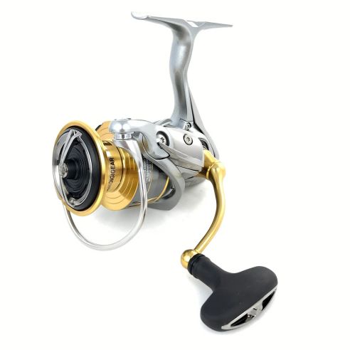 Ritė Daiwa Freams LT