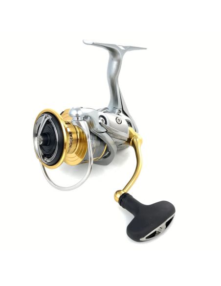 Ritė Daiwa Freams LT