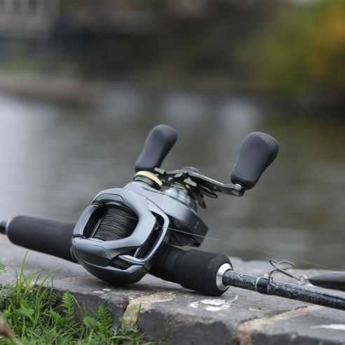 Multiplikatorius Shimano Curado DC 151-245,00 
