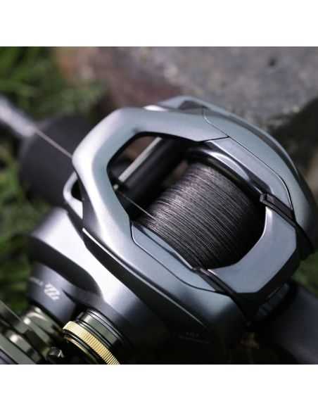 Multiplikatorius Shimano Curado DC 151-245,00 