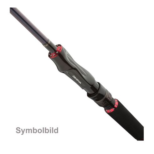 Spiningas Daiwa Tournament AGS SW Jigger 195cm 3,5-14g-277,00 