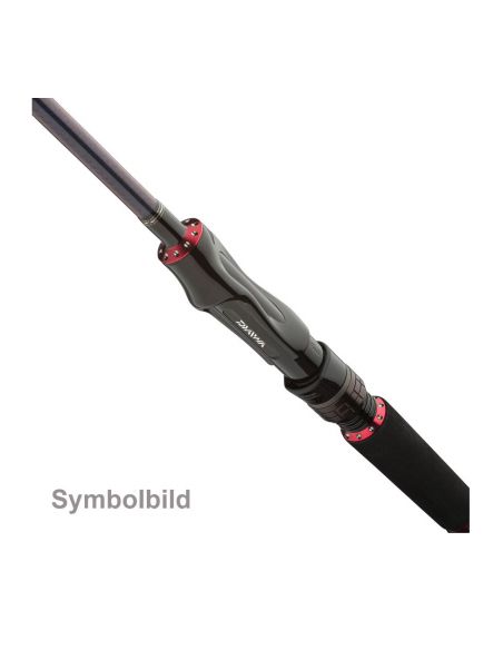 Spiningas Daiwa Tournament AGS SW Jigger 195cm 3,5-14g-277,00 