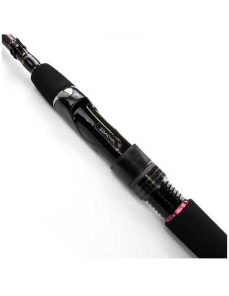 Spiningas Daiwa Tournament AGS SW 270cm 14-42g-307,00 
