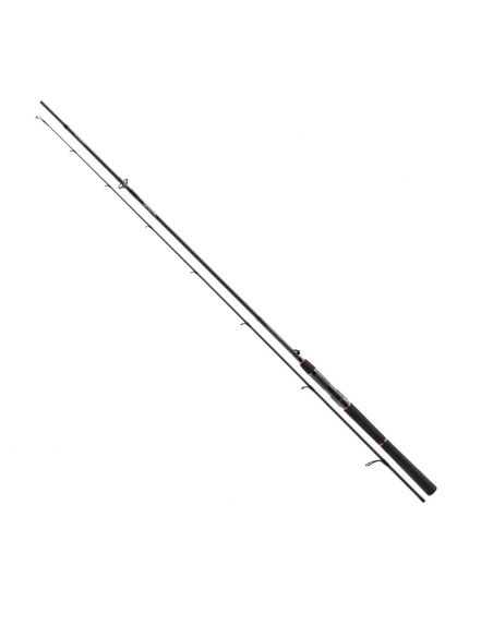 Spiningas Daiwa Tournament AGS SW 270cm 14-42g-307,00 