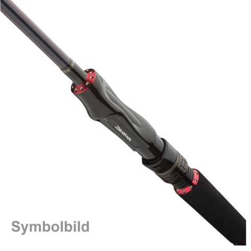 Spiningas Daiwa Tournament AGS SW Jigger 220cm 3,5-14g-307,00 