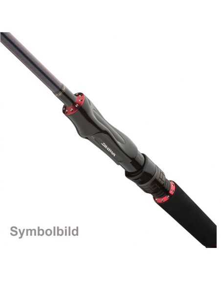 Spiningas Daiwa Tournament AGS SW Jigger 220cm 3,5-14g-307,00 