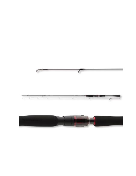Spiningas Daiwa Tournament AGS Jiggerspin 2,40 Meter 7-28