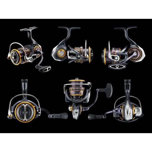 Daiwa 22 Caldia LT MQ 1000-3000-179,00 
