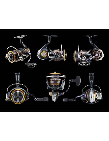 Daiwa 22 Caldia LT MQ 1000-3000-179,00 