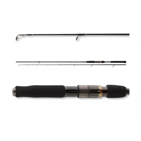 Spiningas Daiwa Airity Spin 2,40 Meter 14-42 g New-230,00 