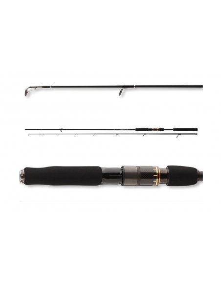 Spiningas Daiwa Airity Spin 2,40 Meter 14-42 g New-230,00 