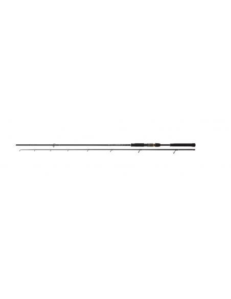Spiningas Daiwa Airity Spin 2,40 Meter 14-42 g New-230,00 