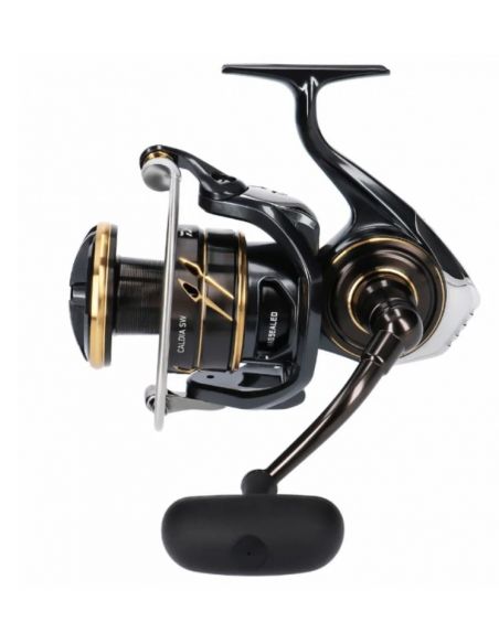 Ritė Daiwa 23 Caldia SW 8000-H-273,00 