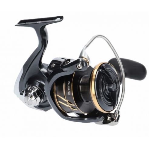 Ritė Daiwa 23 Caldia SW 8000-H-273,00 