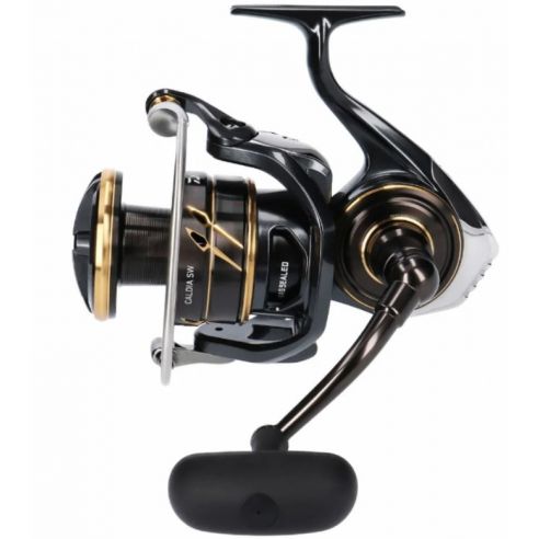 Ritė Daiwa 23 Caldia SW 10000-H-273,00 